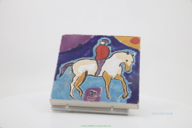 cheval sur le cercle - 1M6A9920