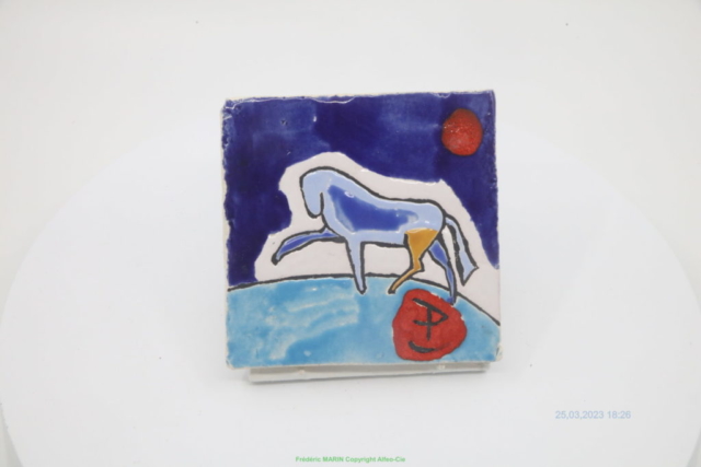 tot espaagnol - 1M6A0081