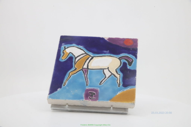 cheval au trot - 1M6A9877